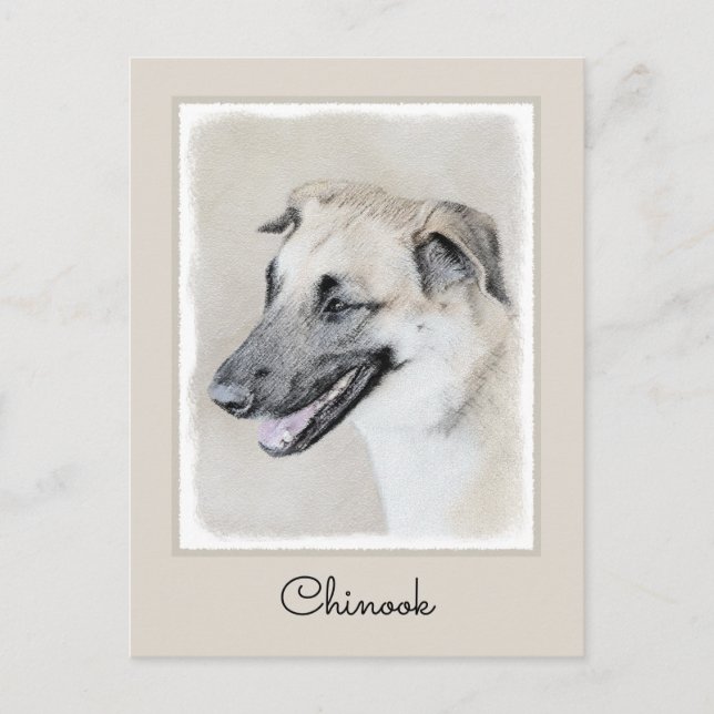 Chinook (Helicopter Ears) Painting - Dog Art Postcard (Front)