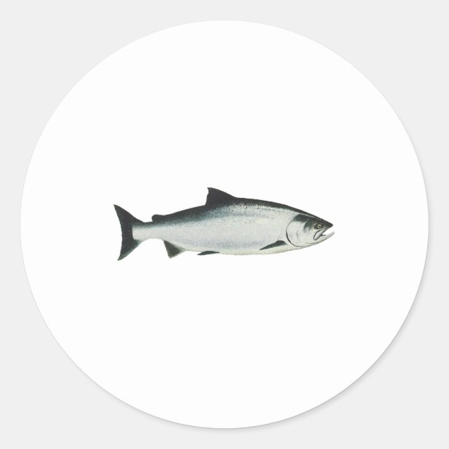 Chinook - King Salmon Classic Round Sticker (Front)