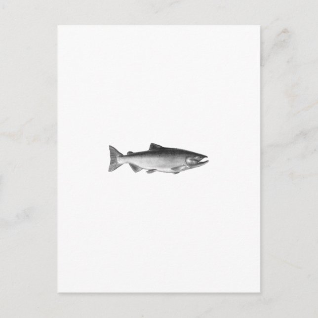 Chinook - King Salmon Logo (black and white) Postcard (Front)