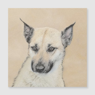Chinook (Pointed Ears) Painting - Original Dog Art