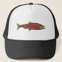 Chinook Salmon - Spawn Phase