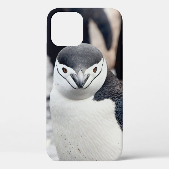 CHINSTRAP PENGUIN Case-Mate iPhone CASE (Back)