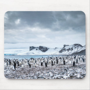 Chinstrap Penguin Colony Landscape Mouse Pad