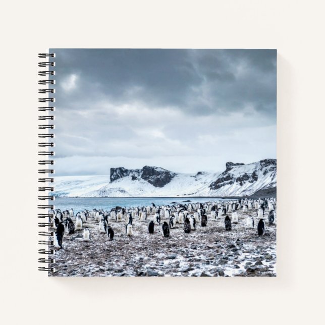 Chinstrap Penguin Colony Landscape Notebook (Front)