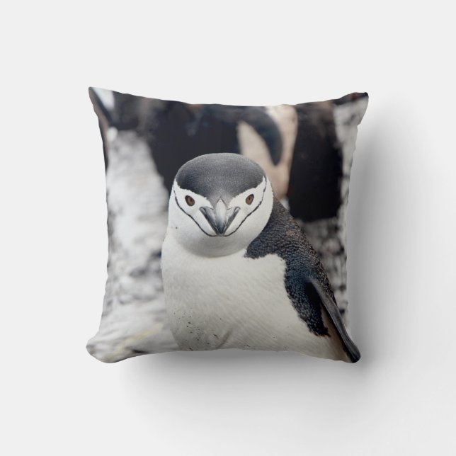 CHINSTRAP PENGUIN CUSHION (Front)