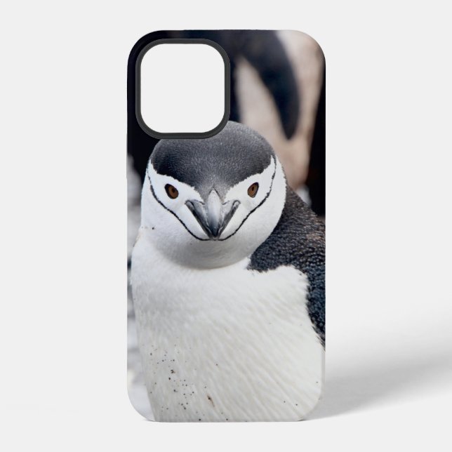 CHINSTRAP PENGUIN iPhone CASE (Back)
