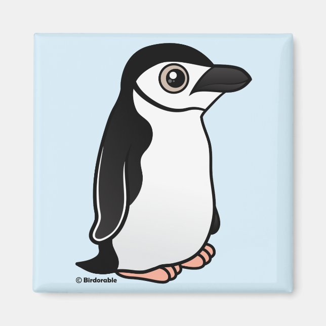 Chinstrap Penguin Magnet (Front)