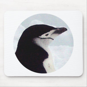 Chinstrap Penguin Portrait Mouse Pad