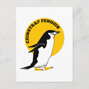Chinstrap penguin postcard