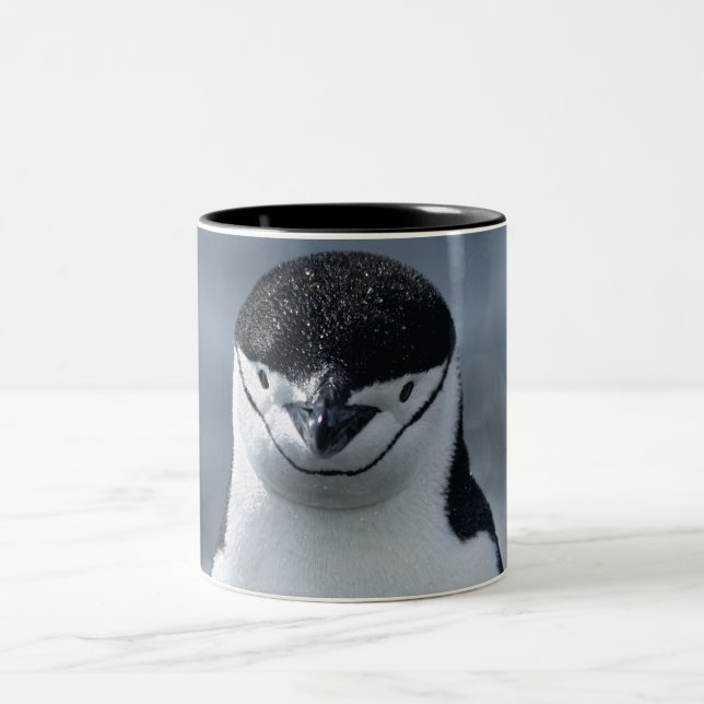 Chinstrap Penguin Two-Tone Coffee Mug (Center)