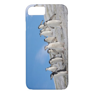 Chinstrap Penguins   Pygoscelis Antarctica iPhone 8/7 Case