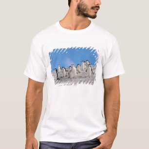Chinstrap Penguins Pygoscelis Antarctica T-Shirt