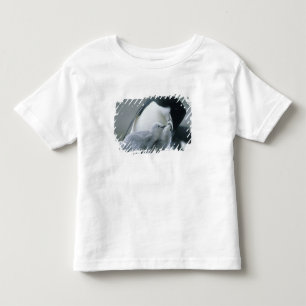 Chinstrap Penguins, Pygoscelis antarctica), Toddler T-Shirt