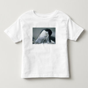Chinstrap Penguins, Pygoscelis antarctica), Toddler T-Shirt