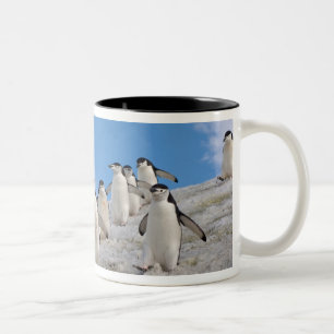Chinstrap Penguins Pygoscelis Antarctica Two-Tone Coffee Mug