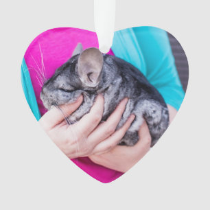 Chinta! Chinchilla Love Ornament