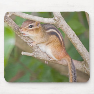 Chipmonk Mouse Pad