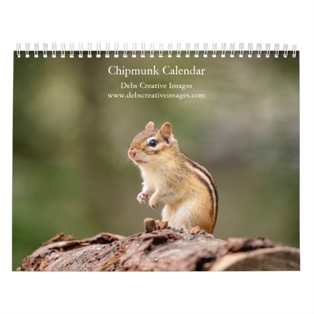 Chipmunk 2026 calendar (Cover)