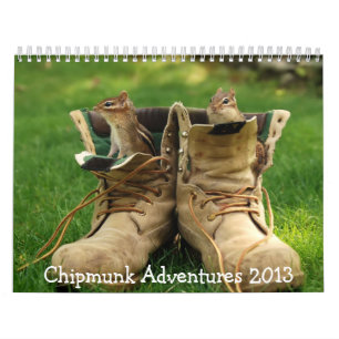 Chipmunk Adventures 2013 Calendar