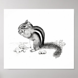Chipmunk and Acorns Poster