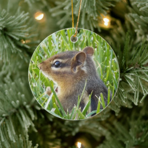 Chipmunk Ceramic Ornament