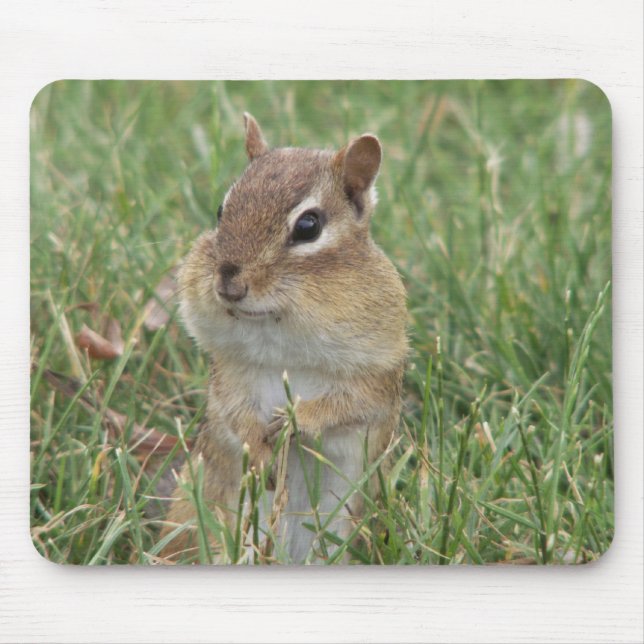 Chipmunk Cheeks Mouse Pad (Front)