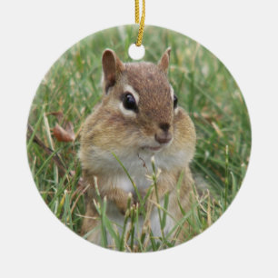 Chipmunk Cheeks Ornament