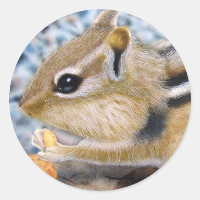 Chipmunk Classic Round Sticker (Front)