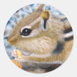 Chipmunk Classic Round Sticker