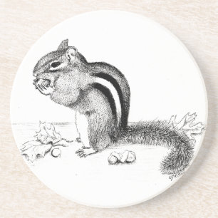 Chipmunk Coaster