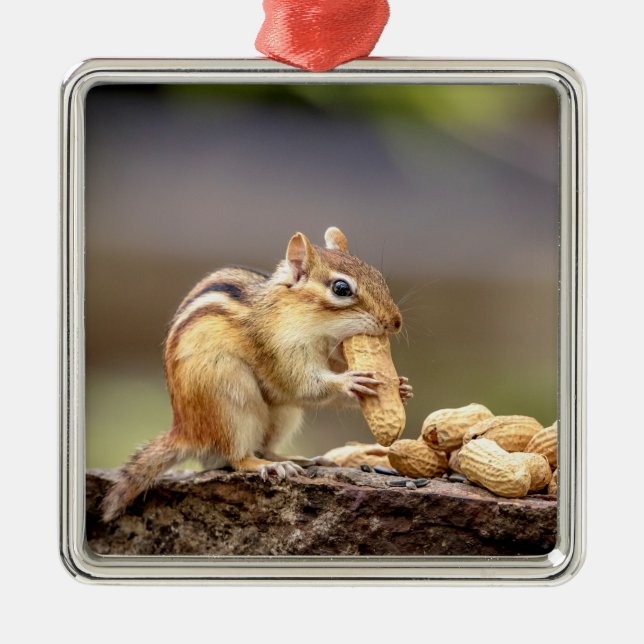 Chipmunk eating a peanut metal tree decoration (Front)