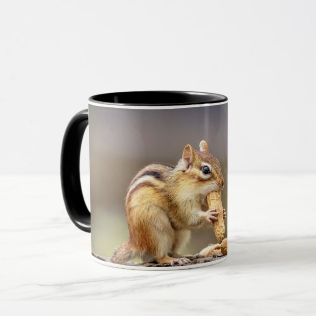 Chipmunk eating a peanut mug (Front Left)