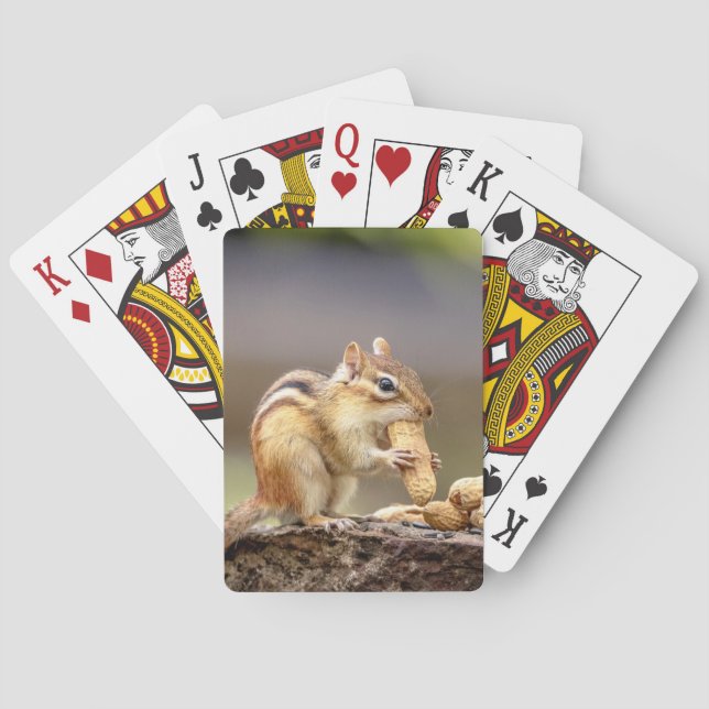 Chipmunk eating a peanut playing cards (Back)