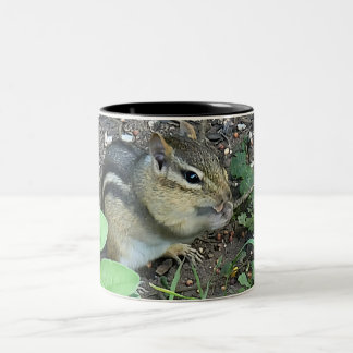 Chipmunk Eating And Collecting In The Garden Photo Two-Tone Coffee Mug