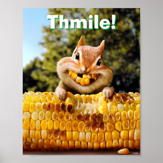 Chipmunk Eating Corn Poster (Front)
