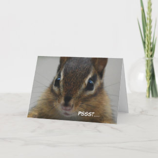 Chipmunk Greeting Card