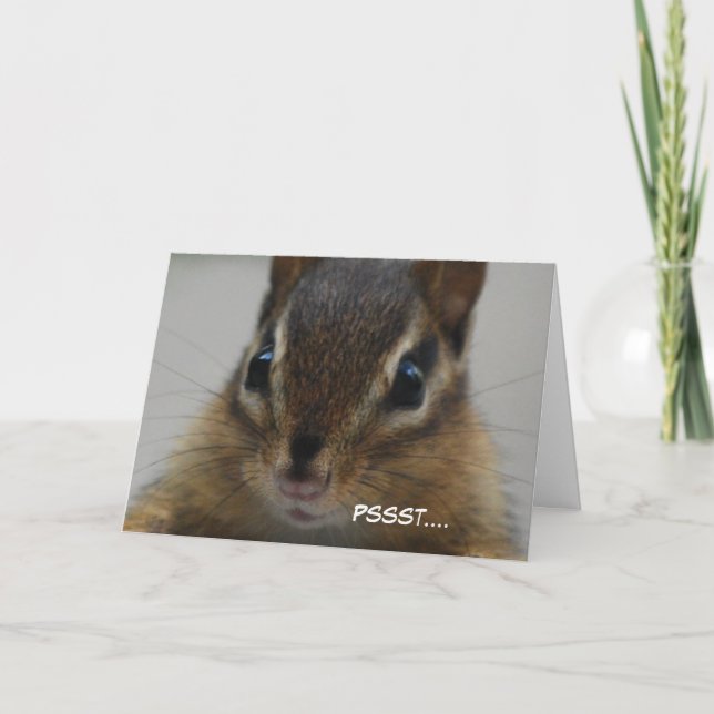 Chipmunk Greeting Card (Front)