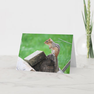 Chipmunk Greeting Card