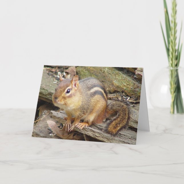 Chipmunk Greeting Card 2 (Front)