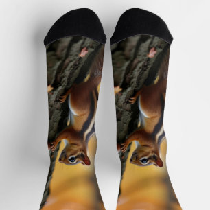 Chipmunk in a tree socks