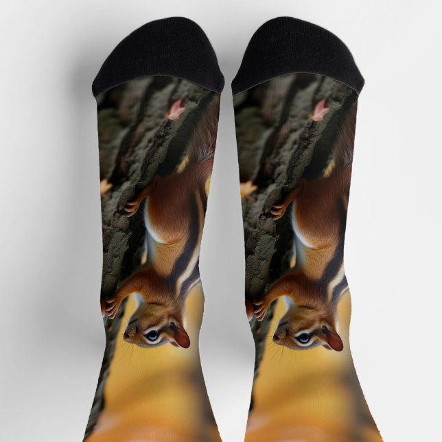 Chipmunk in a tree socks (Top)