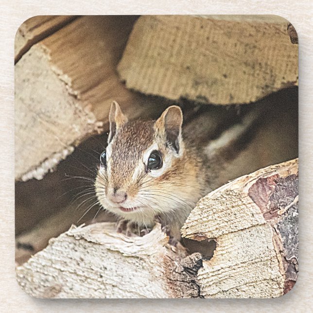 Chipmunk in a wood pile coaster (Front)