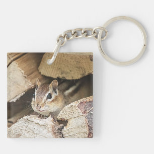 Chipmunk in a wood pile key ring
