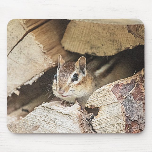 Chipmunk in a wood pile mouse pad (Front)