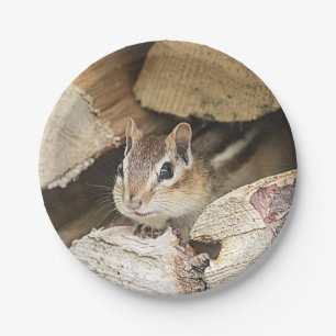 Chipmunk in a wood pile paper plate