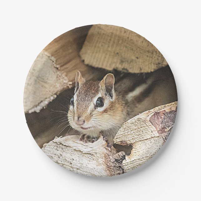 Chipmunk in a wood pile paper plate (Front)