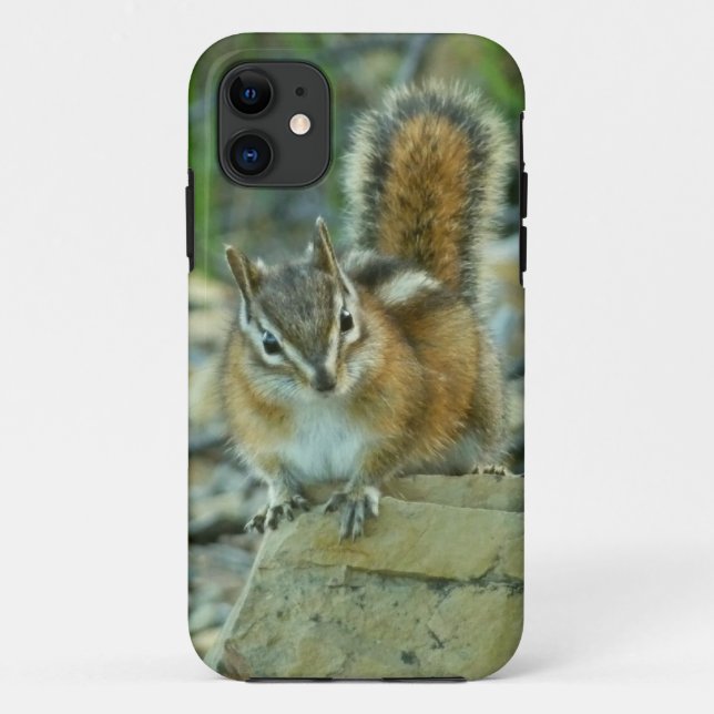 Chipmunk in Glacier National Park Case-Mate iPhone Case (Back)