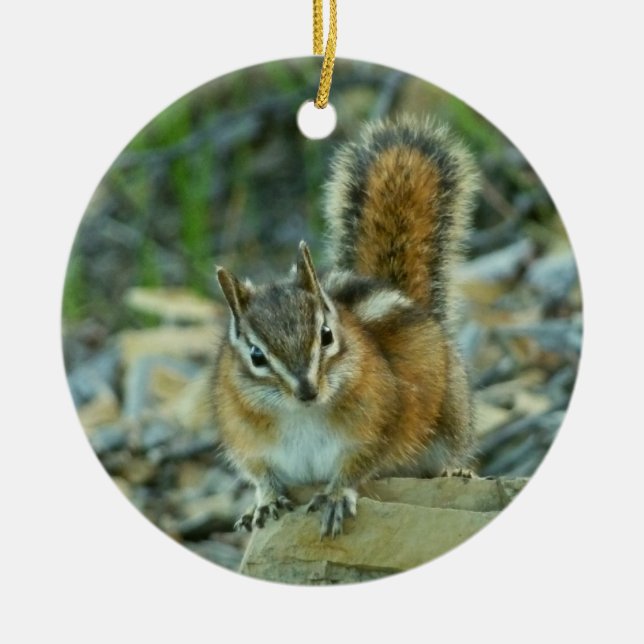 Chipmunk in Glacier National Park Ceramic Ornament (Front)