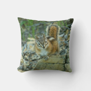 Chipmunk in Glacier National Park Cushion
