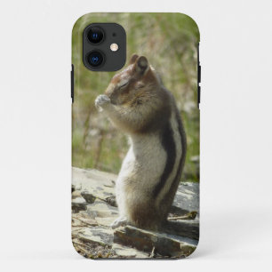 Chipmunk in Glacier National Park II Nature Photo iPhone 11 Case